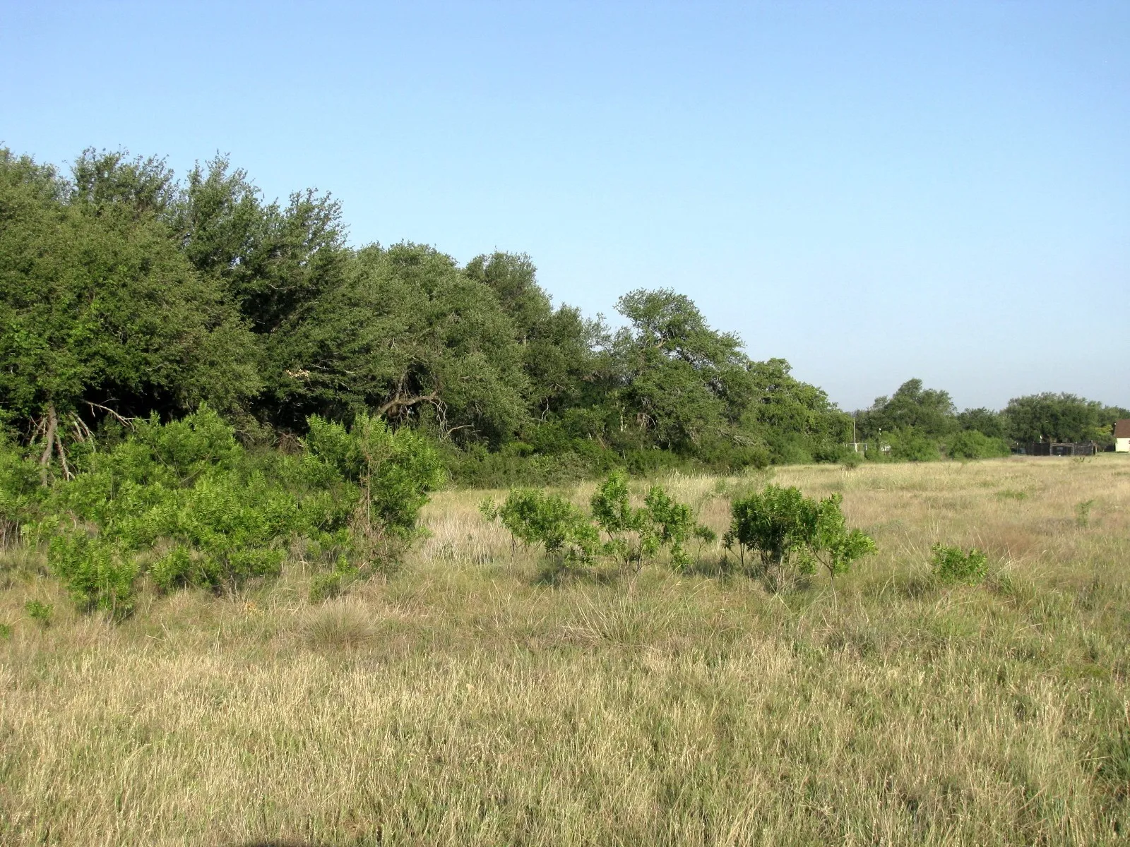 Single Family Residence For Sale in Hamilton County , 2171 County Road 419, Evant, Texas 76525, 3 Bedroom, 3 Bathroom, Garage spaces, 1,440 Sqft, built in 2018, mls#20824200, Real Estate Agent in Evant, Homes For Sale in Hamilton county, Homes For Sale in Evant, Realtor in Evant Texas, Real Estate Brokerage Independent Realty Texas, Luminita Cordes Realtor
