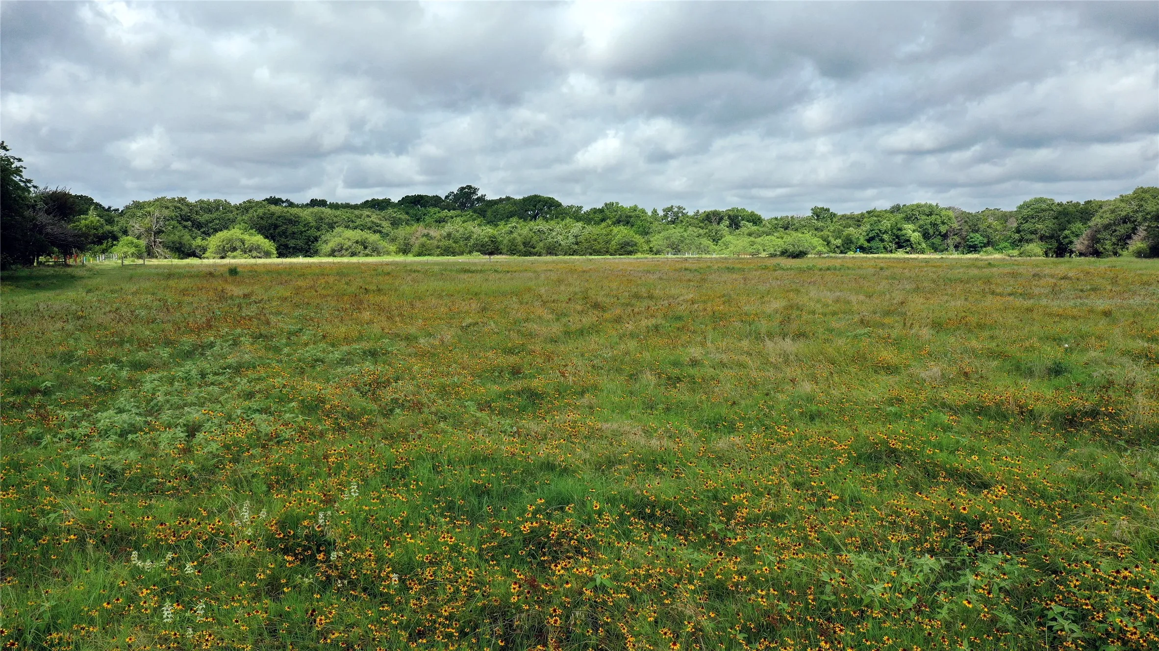 Ranch For Sale in Navarro County , 1563 FM 667, Dawson, Texas 76679, 0, 0, Garage spaces, 0 Sqft, built in 0, Price $525,000, mls#20818395, Real Estate Agent in Dawson, Homes For Sale in Navarro county, Homes For Sale in Dawson, Realtor in Dawson Texas, Real Estate Brokerage Independent Realty Texas, Luminita Cordes Realtor