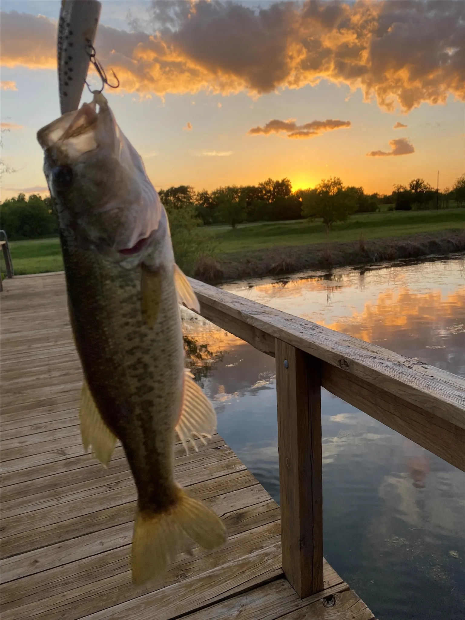 Plenty of Fish to catch!
