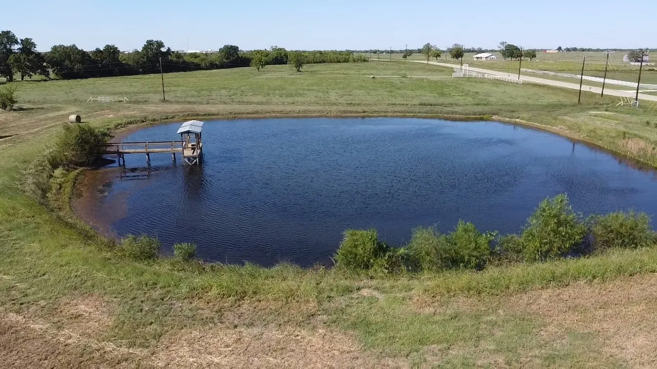 Unimproved Land For Sale in Rains County , TBD Lot A Fm 2737 Road, Lone Oak, Texas 75453, 0, 0, Garage spaces, 0 Sqft, built in 0, Price $375,000, mls#20825753, Real Estate Agent in Lone Oak, Homes For Sale in Rains county, Homes For Sale in Lone Oak, Realtor in Lone Oak Texas, Real Estate Brokerage Independent Realty Texas, Luminita Cordes Realtor