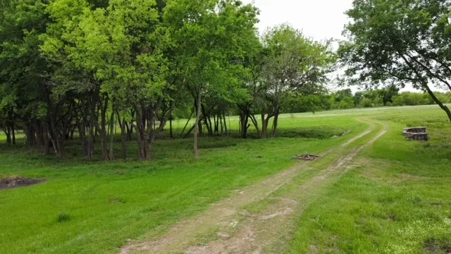 Unimproved Land For Sale in Rains County , TBD Lot A Fm 2737 Road, Lone Oak, Texas 75453, 0, 0, Garage spaces, 0 Sqft, built in 0, Price $375,000, mls#20825753, Real Estate Agent in Lone Oak, Homes For Sale in Rains county, Homes For Sale in Lone Oak, Realtor in Lone Oak Texas, Real Estate Brokerage Independent Realty Texas, Luminita Cordes Realtor