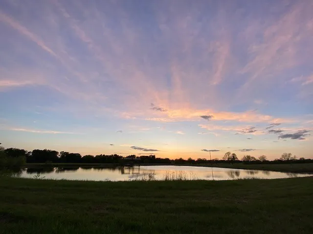 Unimproved Land For Sale in Rains County , TBD Lot A Fm 2737 Road, Lone Oak, Texas 75453, 0, 0, Garage spaces, 0 Sqft, built in 0, Price $375,000, mls#20825753, Real Estate Agent in Lone Oak, Homes For Sale in Rains county, Homes For Sale in Lone Oak, Realtor in Lone Oak Texas, Real Estate Brokerage Independent Realty Texas, Luminita Cordes Realtor