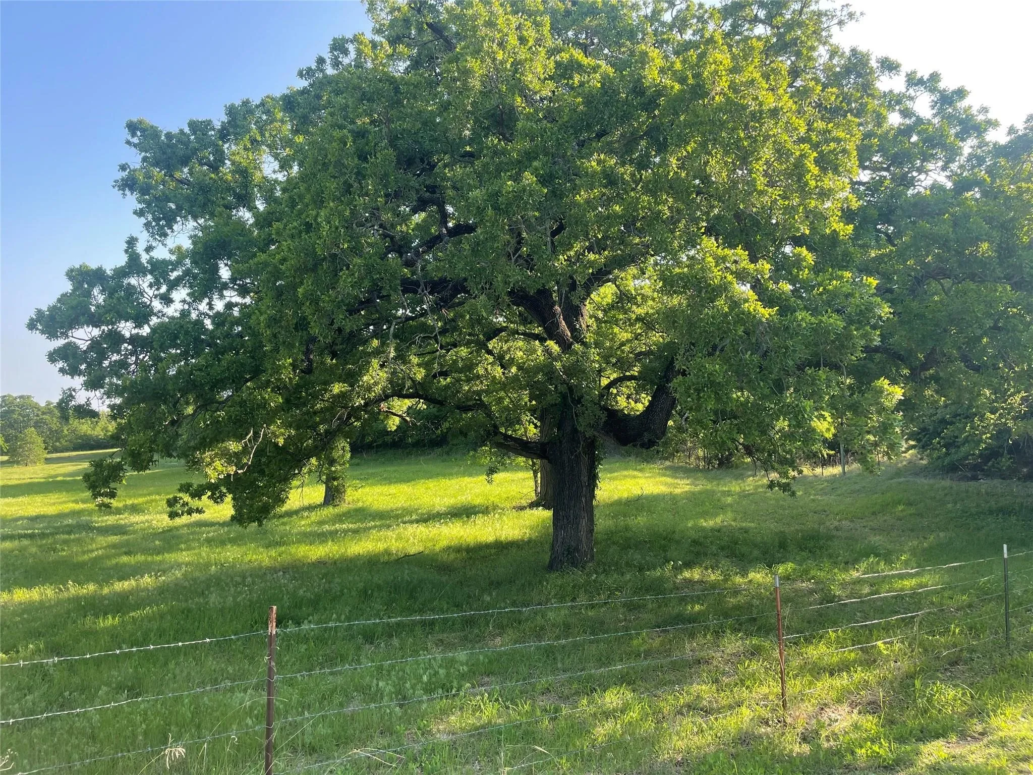 Unimproved Land For Sale in Wise County , 858 County Road 2395, Alvord, Texas 76225, 0, 0, Garage spaces, 0 Sqft, built in 1993, mls#20826615, Real Estate Agent in Alvord, Homes For Sale in Wise county, Homes For Sale in Alvord, Realtor in Alvord Texas, Real Estate Brokerage Independent Realty Texas, Luminita Cordes Realtor