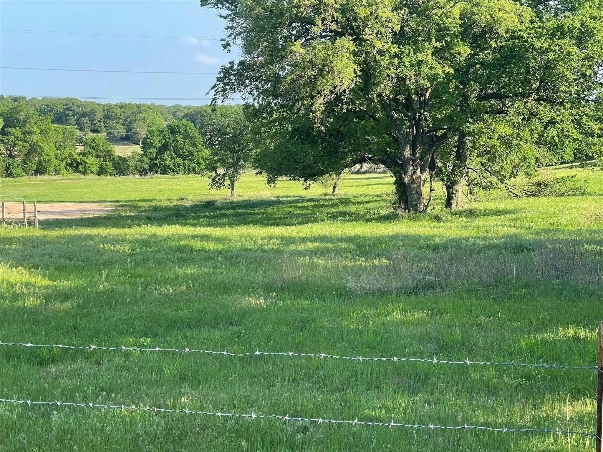 Unimproved Land For Sale in Wise County , 858 County Road 2395, Alvord, Texas 76225, 0, 0, Garage spaces, 0 Sqft, built in 1993, mls#20826615, Real Estate Agent in Alvord, Homes For Sale in Wise county, Homes For Sale in Alvord, Realtor in Alvord Texas, Real Estate Brokerage Independent Realty Texas, Luminita Cordes Realtor