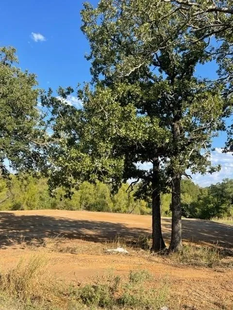 View of local wilderness