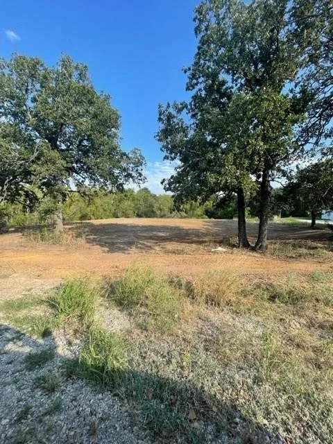 View of local wilderness