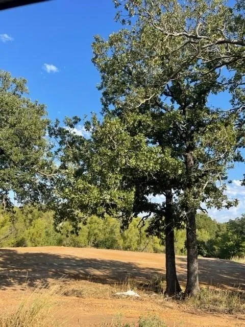 View of local wilderness