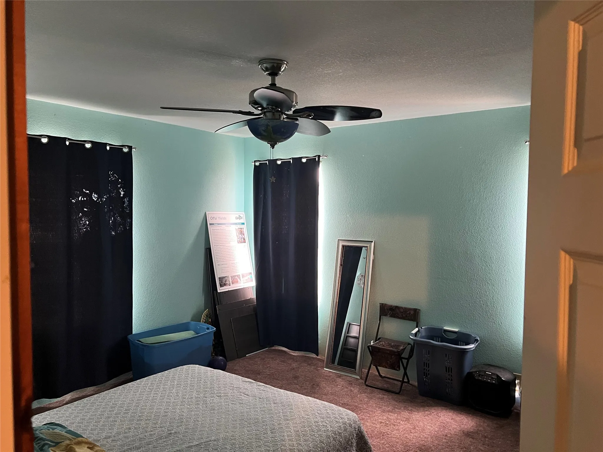 Carpeted bedroom with ceiling fan