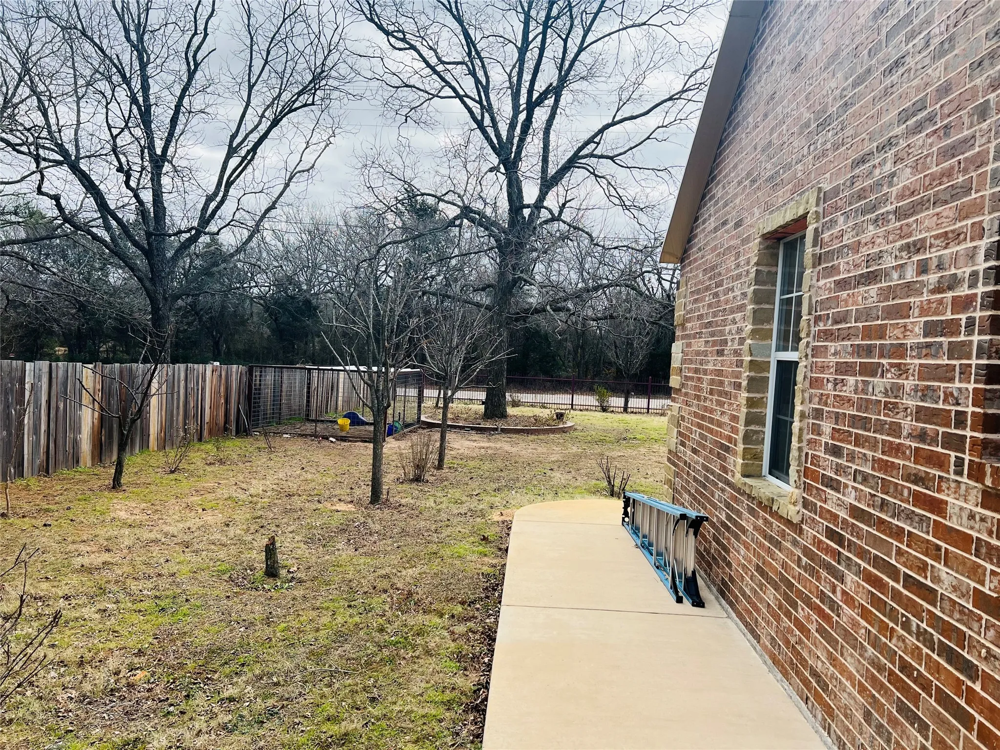 View of yard with a patio​​‌​​​​‌​​‌‌​‌‌​​​‌‌​‌​‌​‌​​​‌​​ area
