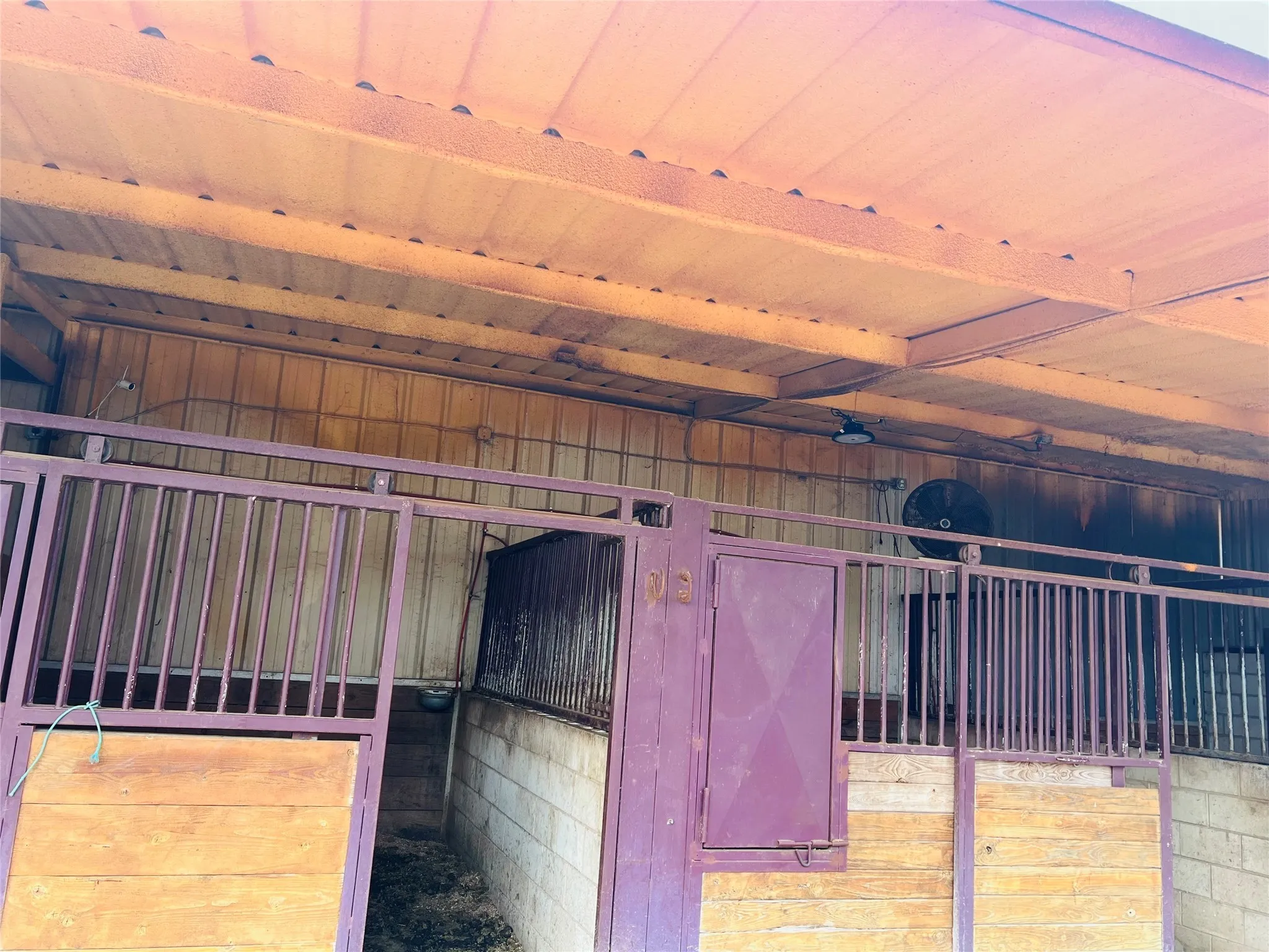 View of horse barn