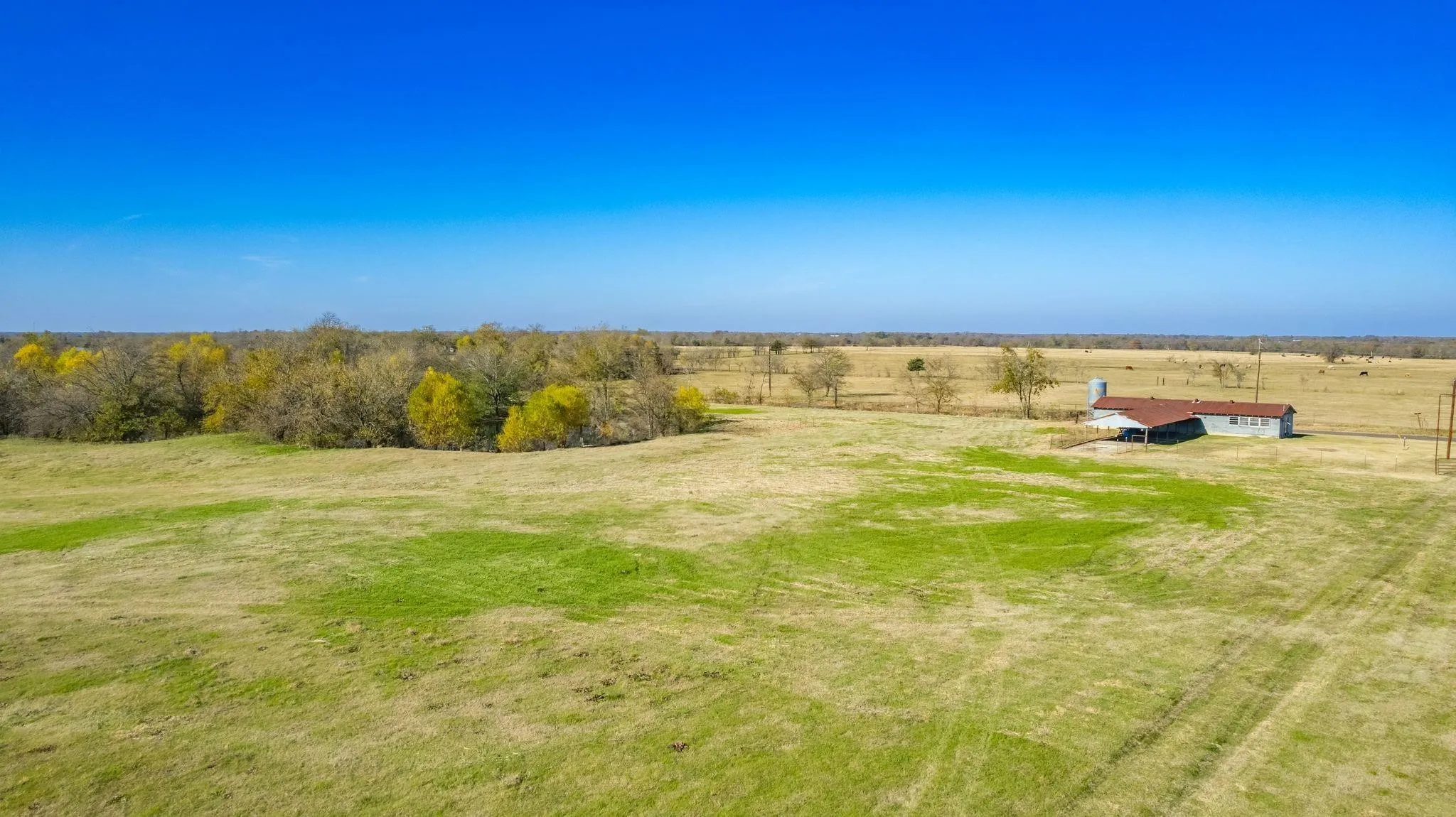 Farm For Sale in Hopkins County , Lot 4 County Road 3566, Dike, Texas 75437, 4 Bedroom, 3 Bathroom, 2 Garage spaces, 3,086 Sqft, built in 2005, Preowned, mls#20829092, Real Estate Agent in Dike, Homes For Sale in Hopkins county, Homes For Sale in Dike, Realtor in Dike Texas, Real Estate Brokerage Independent Realty Texas, Luminita Cordes Realtor