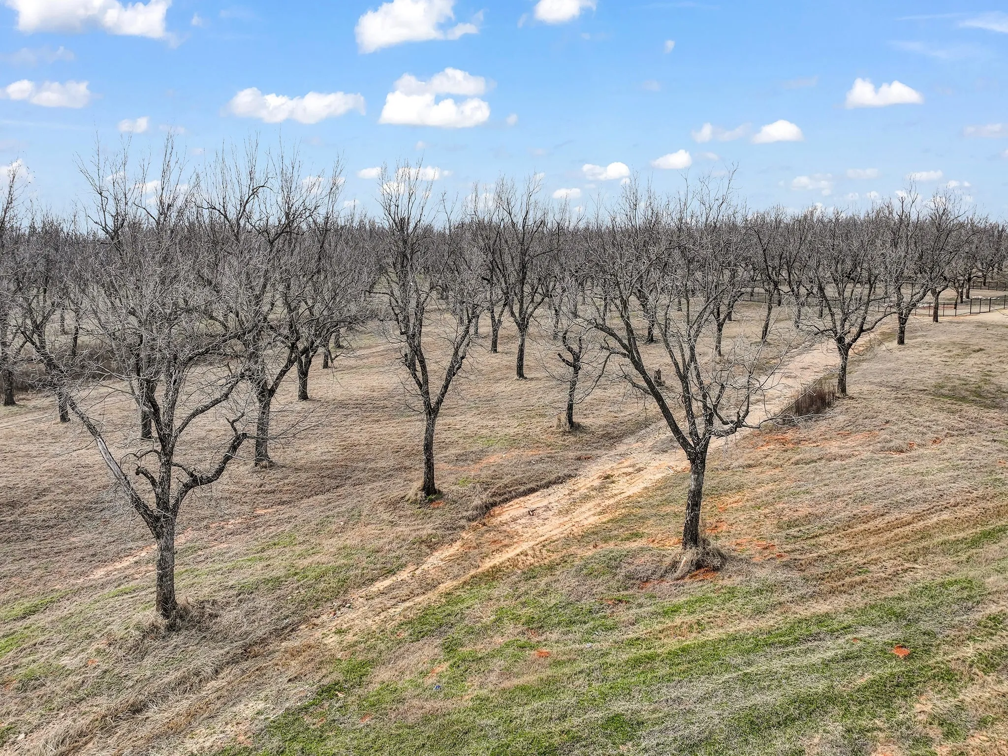 Unimproved Land For Sale in Hood County , 8419 W Landings Road, Granbury, Texas 76049, 0, 0, Garage spaces, 0 Sqft, built in 0, Price $148,900, mls#20823464, Real Estate Agent in Granbury, Homes For Sale in Hood county, Homes For Sale in Granbury, Realtor in Granbury Texas, Real Estate Brokerage Independent Realty Texas, Luminita Cordes Realtor