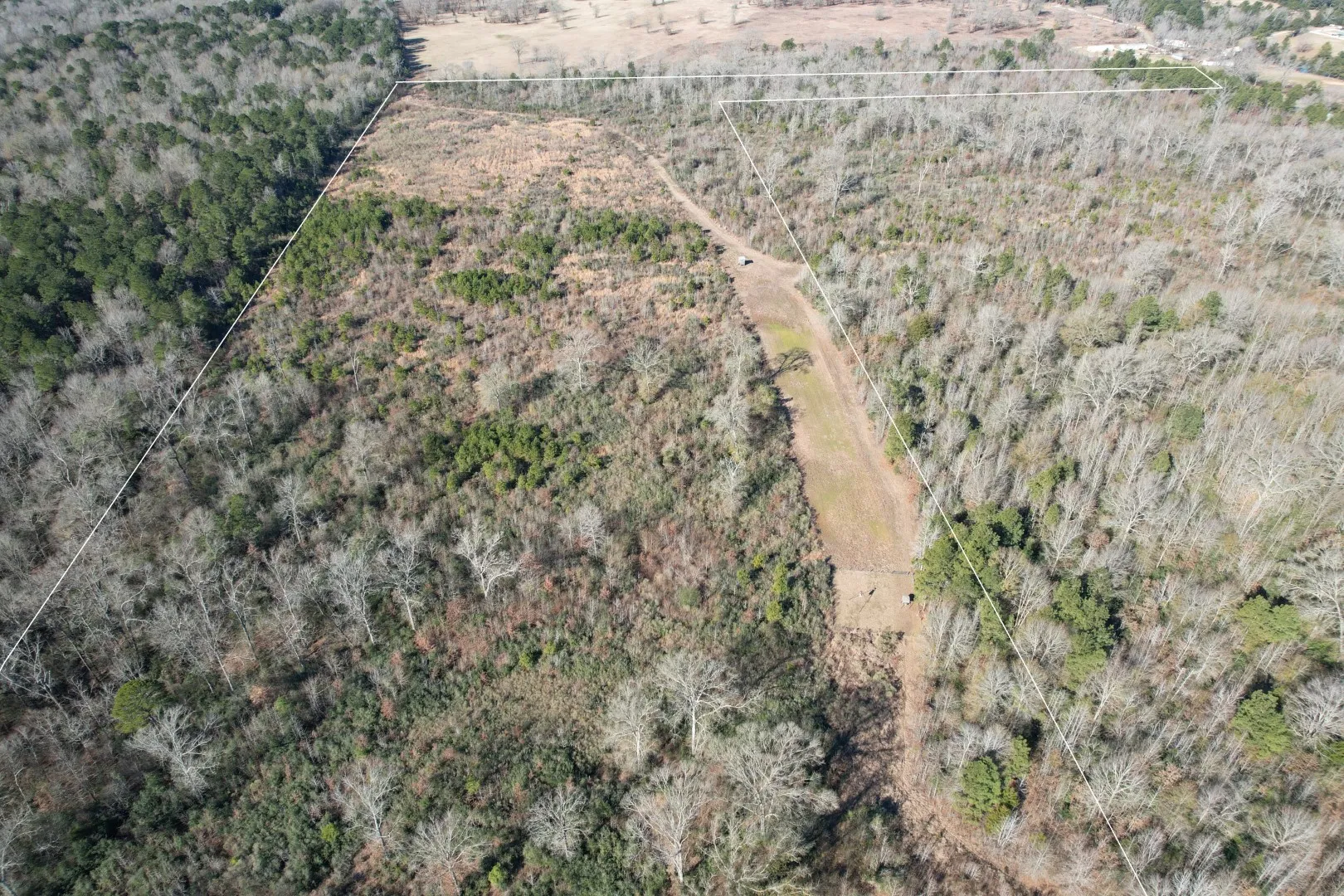 Unimproved Land For Sale in Shelby County , TBD-B County Road 4021, Timpson, Texas 75975, 0, 0, Garage spaces, 0 Sqft, built in 0, Price $220,500, mls#20831081, Real Estate Agent in Timpson, Homes For Sale in Shelby county, Homes For Sale in Timpson, Realtor in Timpson Texas, Real Estate Brokerage Independent Realty Texas, Luminita Cordes Realtor