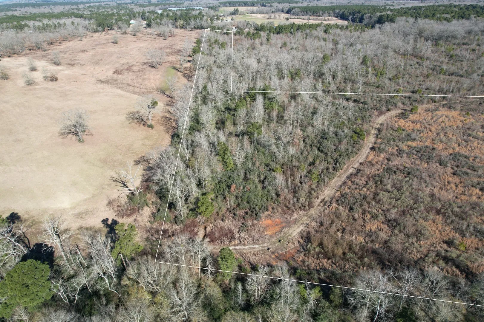 Unimproved Land For Sale in Shelby County , TBD-B County Road 4021, Timpson, Texas 75975, 0, 0, Garage spaces, 0 Sqft, built in 0, Price $220,500, mls#20831081, Real Estate Agent in Timpson, Homes For Sale in Shelby county, Homes For Sale in Timpson, Realtor in Timpson Texas, Real Estate Brokerage Independent Realty Texas, Luminita Cordes Realtor
