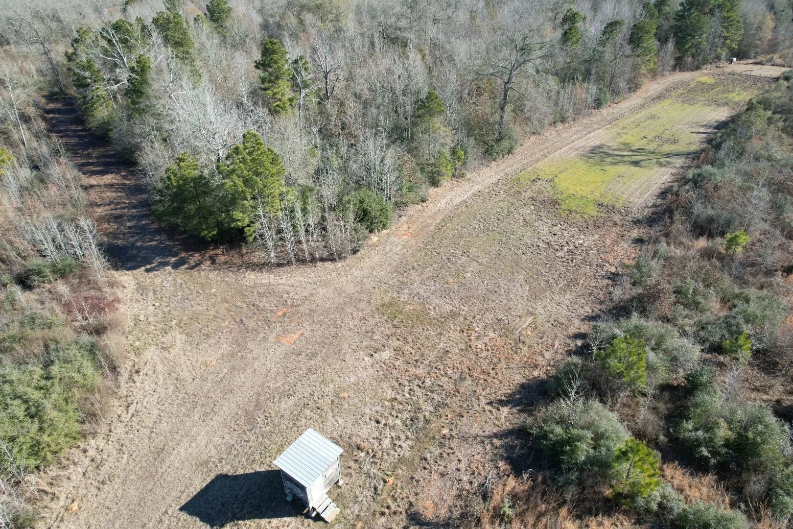 Unimproved Land For Sale in Shelby County , TBD-B County Road 4021, Timpson, Texas 75975, 0, 0, Garage spaces, 0 Sqft, built in 0, Price $220,500, mls#20831081, Real Estate Agent in Timpson, Homes For Sale in Shelby county, Homes For Sale in Timpson, Realtor in Timpson Texas, Real Estate Brokerage Independent Realty Texas, Luminita Cordes Realtor