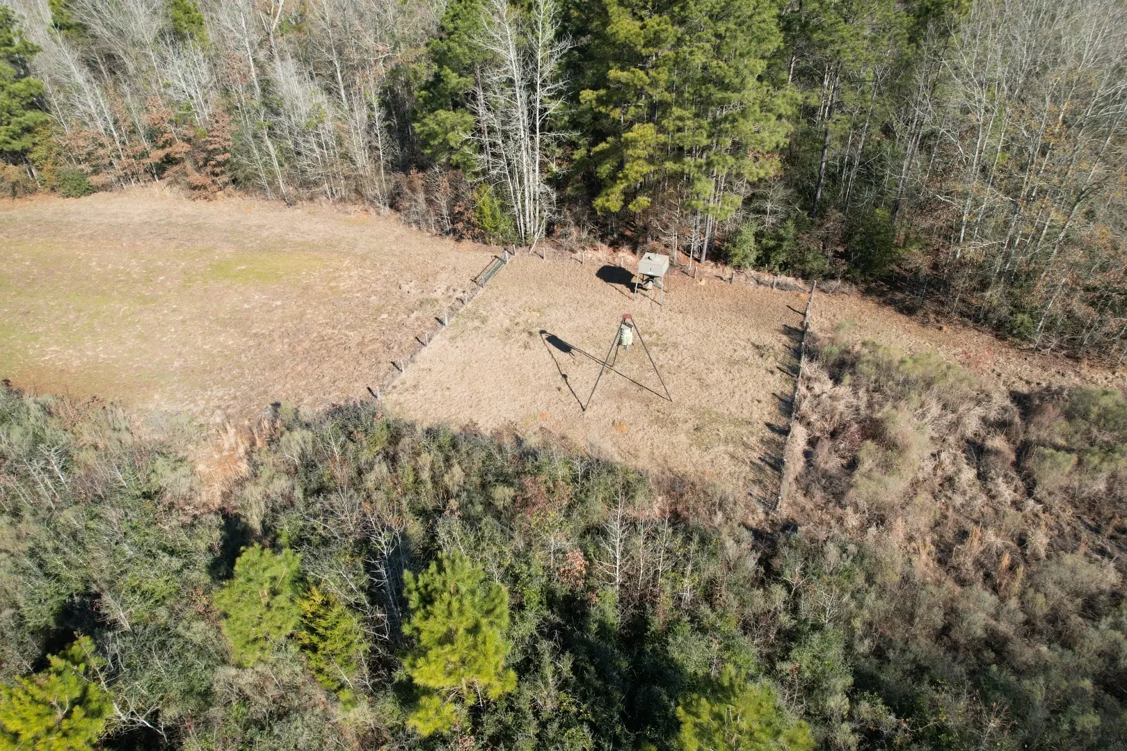 Unimproved Land For Sale in Shelby County , TBD-B County Road 4021, Timpson, Texas 75975, 0, 0, Garage spaces, 0 Sqft, built in 0, Price $220,500, mls#20831081, Real Estate Agent in Timpson, Homes For Sale in Shelby county, Homes For Sale in Timpson, Realtor in Timpson Texas, Real Estate Brokerage Independent Realty Texas, Luminita Cordes Realtor