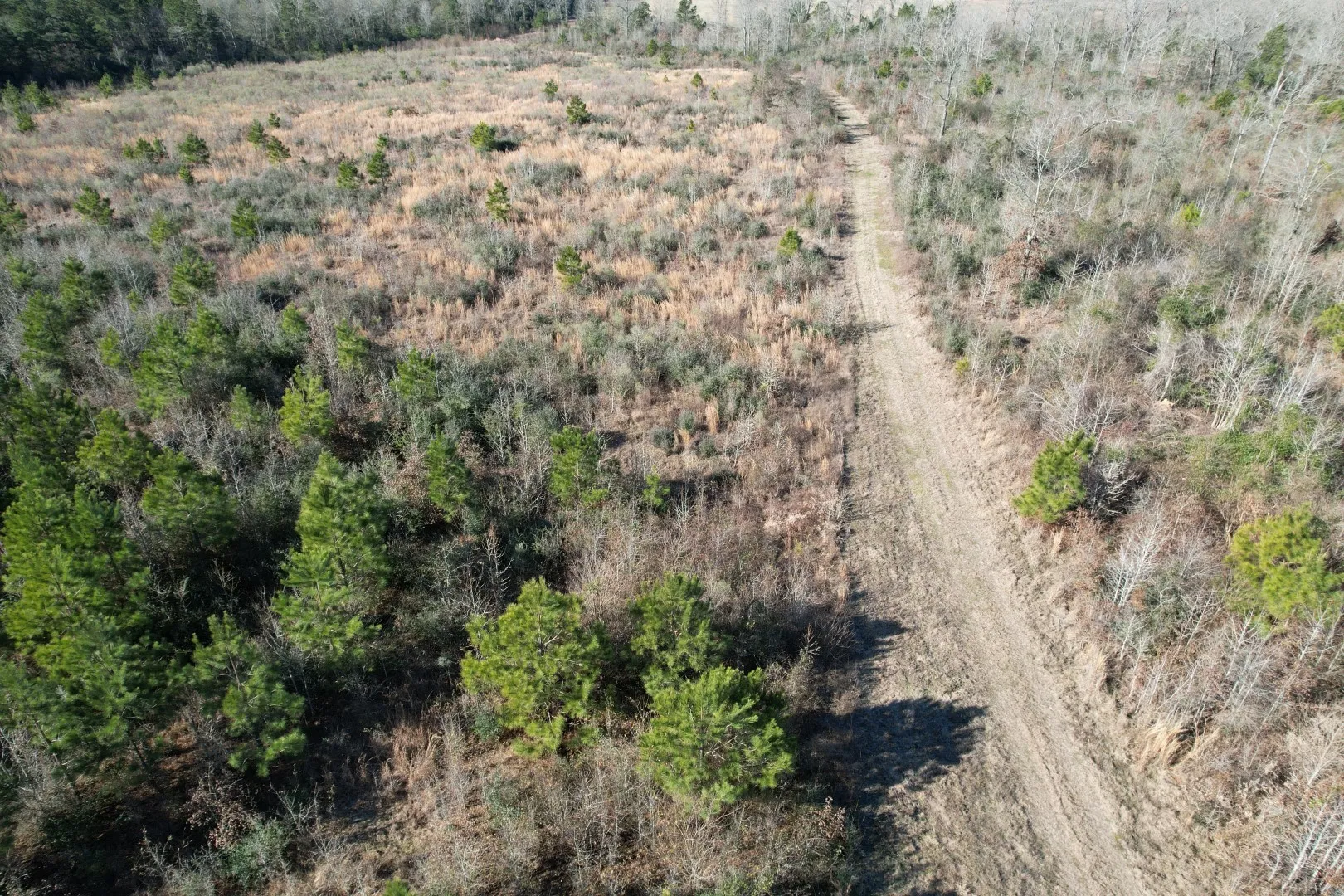 Unimproved Land For Sale in Shelby County , TBD-B County Road 4021, Timpson, Texas 75975, 0, 0, Garage spaces, 0 Sqft, built in 0, Price $220,500, mls#20831081, Real Estate Agent in Timpson, Homes For Sale in Shelby county, Homes For Sale in Timpson, Realtor in Timpson Texas, Real Estate Brokerage Independent Realty Texas, Luminita Cordes Realtor