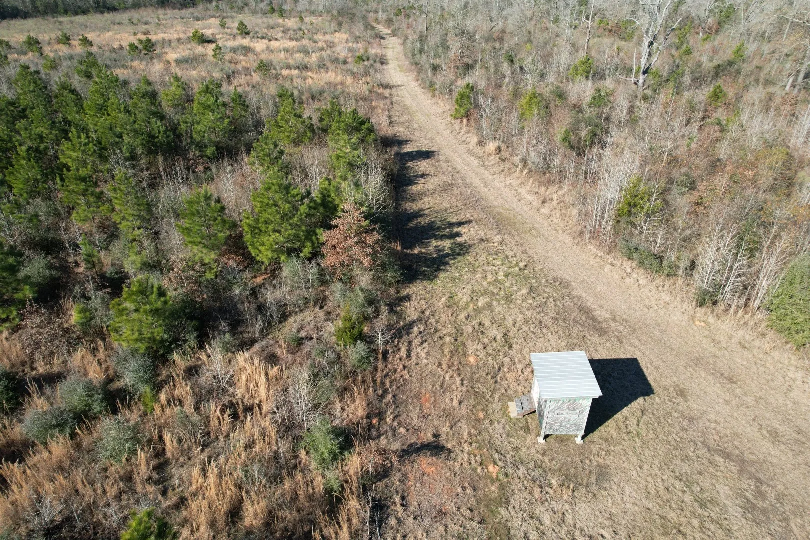 Unimproved Land For Sale in Shelby County , TBD-B County Road 4021, Timpson, Texas 75975, 0, 0, Garage spaces, 0 Sqft, built in 0, Price $220,500, mls#20831081, Real Estate Agent in Timpson, Homes For Sale in Shelby county, Homes For Sale in Timpson, Realtor in Timpson Texas, Real Estate Brokerage Independent Realty Texas, Luminita Cordes Realtor