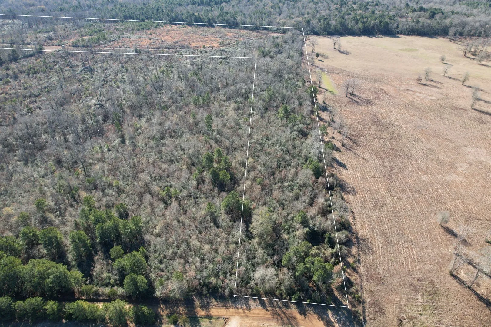 Unimproved Land For Sale in Shelby County , TBD-B County Road 4021, Timpson, Texas 75975, 0, 0, Garage spaces, 0 Sqft, built in 0, Price $220,500, mls#20831081, Real Estate Agent in Timpson, Homes For Sale in Shelby county, Homes For Sale in Timpson, Realtor in Timpson Texas, Real Estate Brokerage Independent Realty Texas, Luminita Cordes Realtor