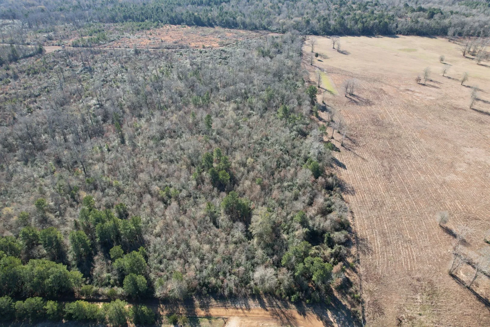 Unimproved Land For Sale in Shelby County , TBD-B County Road 4021, Timpson, Texas 75975, 0, 0, Garage spaces, 0 Sqft, built in 0, Price $220,500, mls#20831081, Real Estate Agent in Timpson, Homes For Sale in Shelby county, Homes For Sale in Timpson, Realtor in Timpson Texas, Real Estate Brokerage Independent Realty Texas, Luminita Cordes Realtor