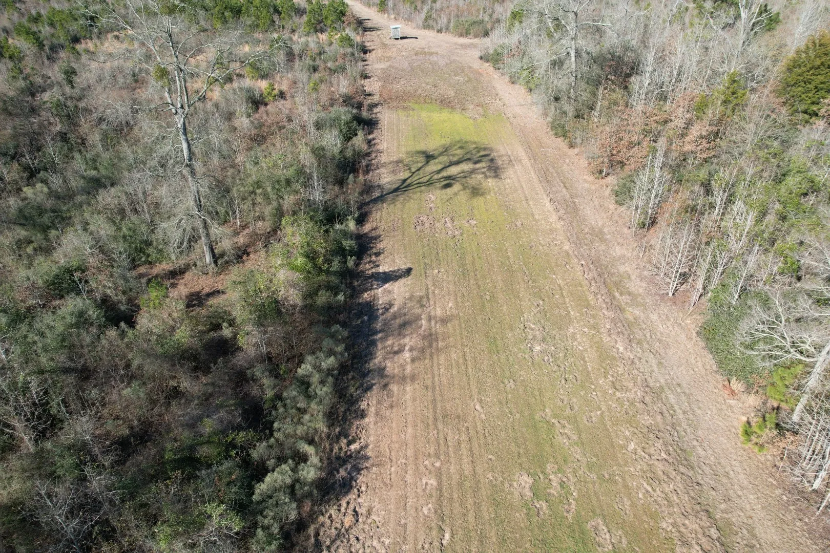 Unimproved Land For Sale in Shelby County , TBD-B County Road 4021, Timpson, Texas 75975, 0, 0, Garage spaces, 0 Sqft, built in 0, Price $220,500, mls#20831081, Real Estate Agent in Timpson, Homes For Sale in Shelby county, Homes For Sale in Timpson, Realtor in Timpson Texas, Real Estate Brokerage Independent Realty Texas, Luminita Cordes Realtor