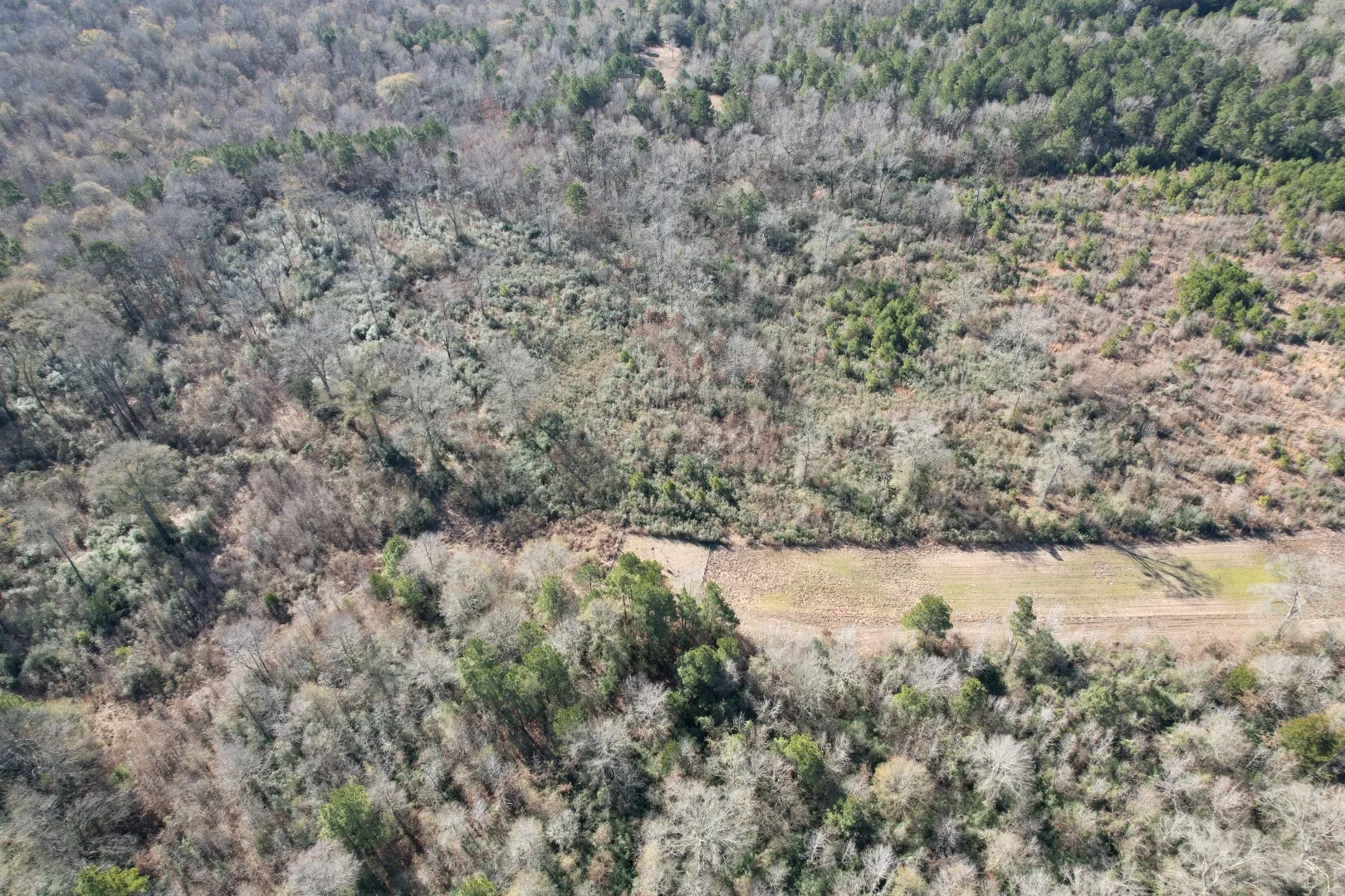 Unimproved Land For Sale in Shelby County , TBD-B County Road 4021, Timpson, Texas 75975, 0, 0, Garage spaces, 0 Sqft, built in 0, Price $220,500, mls#20831081, Real Estate Agent in Timpson, Homes For Sale in Shelby county, Homes For Sale in Timpson, Realtor in Timpson Texas, Real Estate Brokerage Independent Realty Texas, Luminita Cordes Realtor
