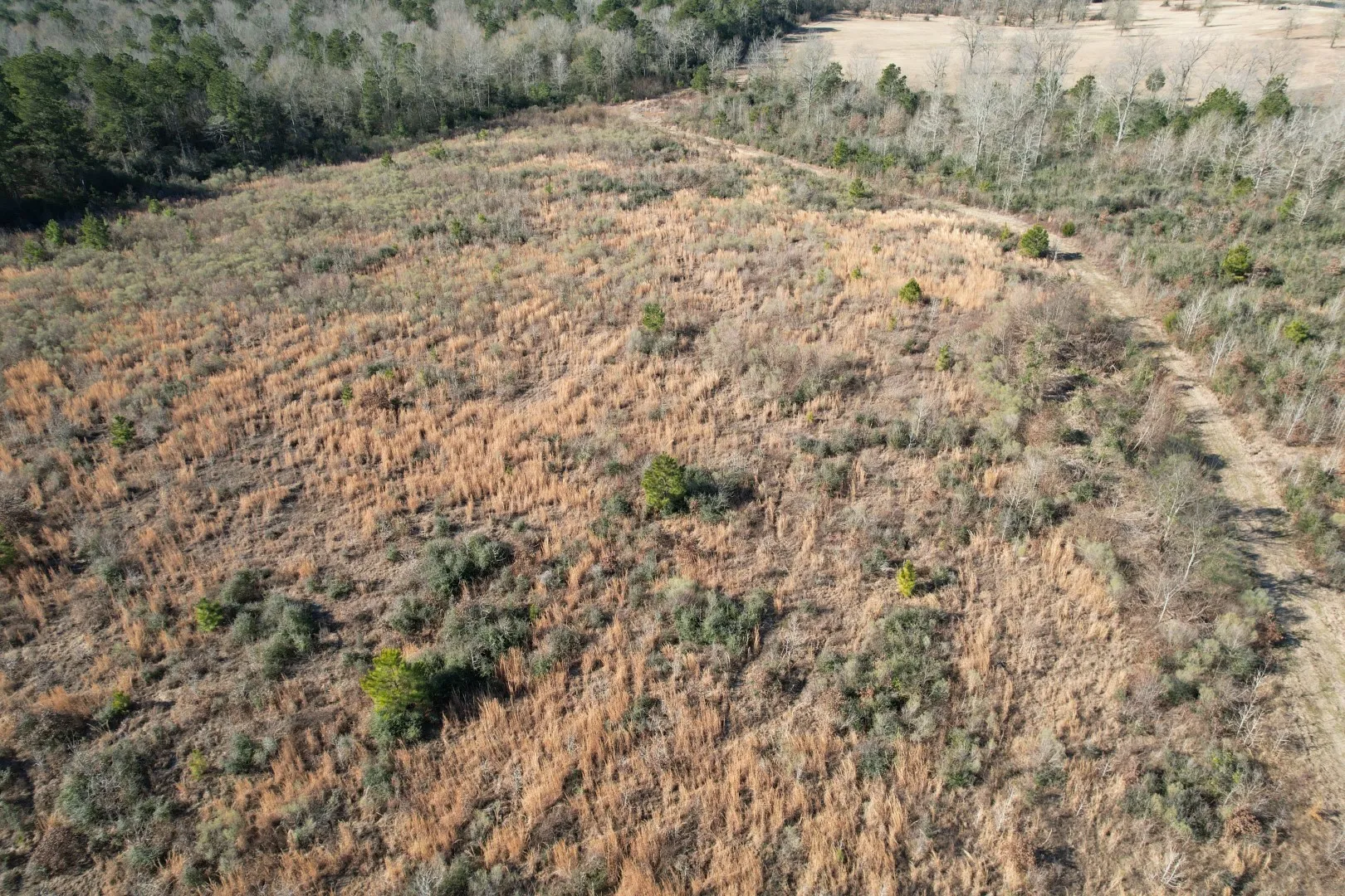 Unimproved Land For Sale in Shelby County , TBD-B County Road 4021, Timpson, Texas 75975, 0, 0, Garage spaces, 0 Sqft, built in 0, Price $220,500, mls#20831081, Real Estate Agent in Timpson, Homes For Sale in Shelby county, Homes For Sale in Timpson, Realtor in Timpson Texas, Real Estate Brokerage Independent Realty Texas, Luminita Cordes Realtor