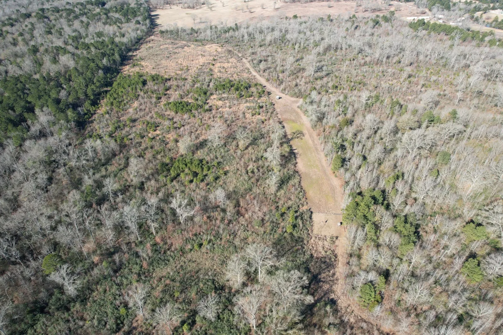 Unimproved Land For Sale in Shelby County , TBD-B County Road 4021, Timpson, Texas 75975, 0, 0, Garage spaces, 0 Sqft, built in 0, Price $220,500, mls#20831081, Real Estate Agent in Timpson, Homes For Sale in Shelby county, Homes For Sale in Timpson, Realtor in Timpson Texas, Real Estate Brokerage Independent Realty Texas, Luminita Cordes Realtor