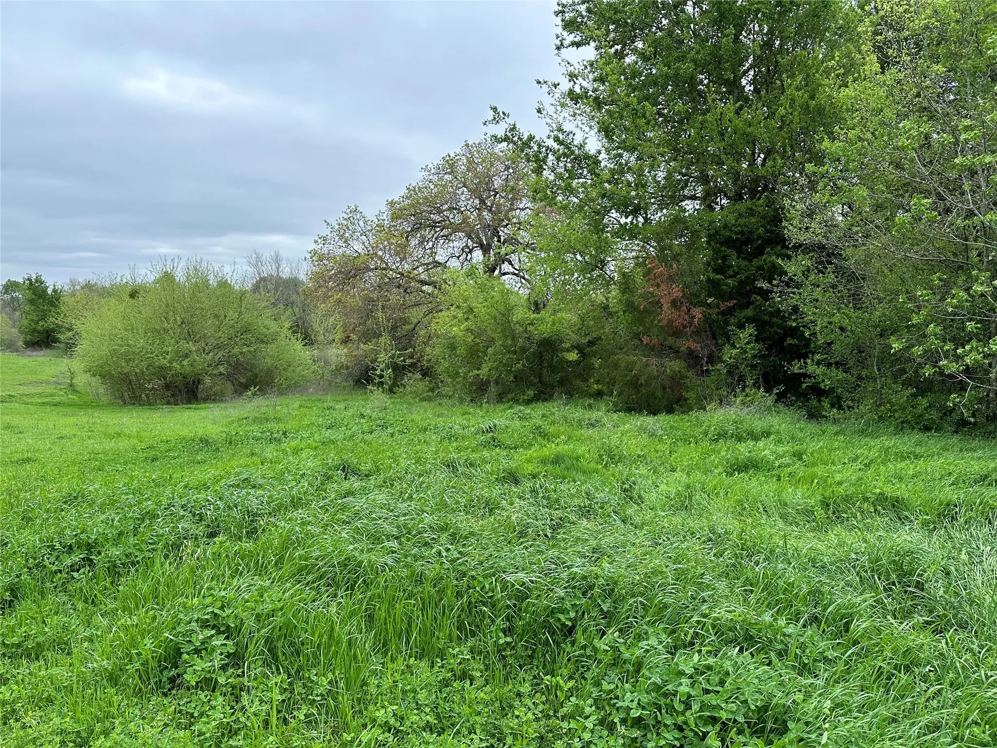 View of nature