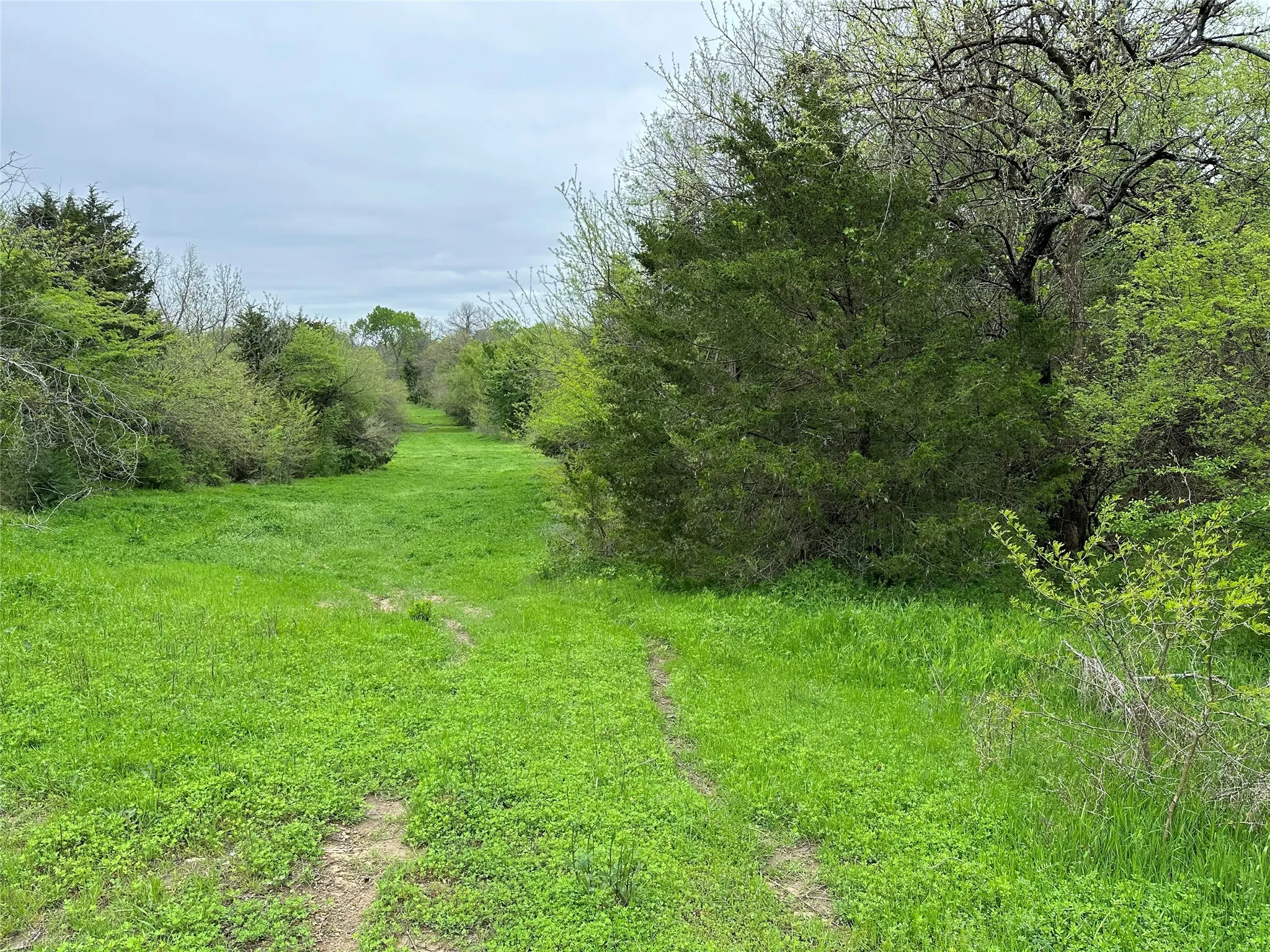 View of landscape