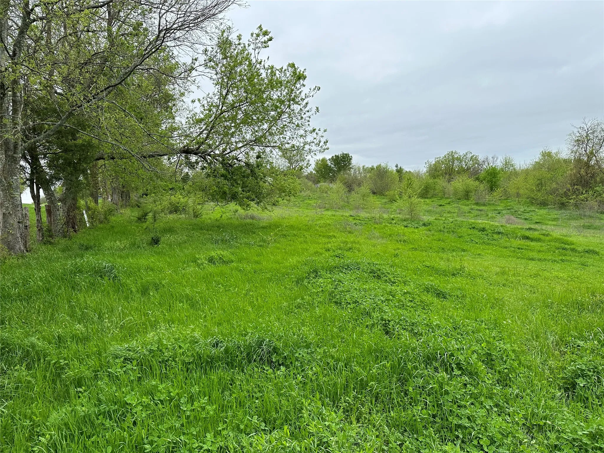 View of landscape