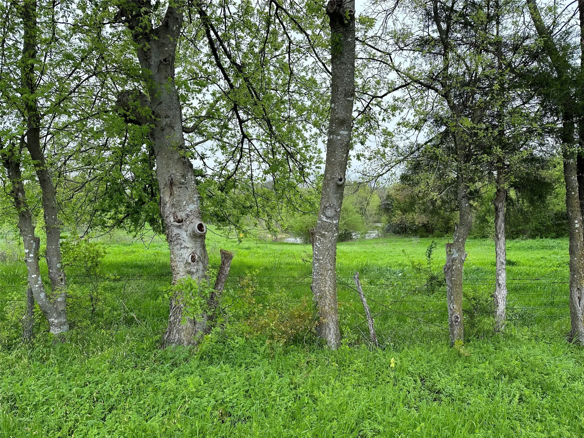 Unimproved Land For Sale in Hunt County , Tract 4 FM 2194, Greenville, Texas 75401, 0, 0, Garage spaces, 0 Sqft, built in 0, mls#20831334, Real Estate Agent in Greenville, Homes For Sale in Hunt county, Homes For Sale in Greenville, Realtor in Greenville Texas, Real Estate Brokerage Independent Realty Texas, Luminita Cordes Realtor