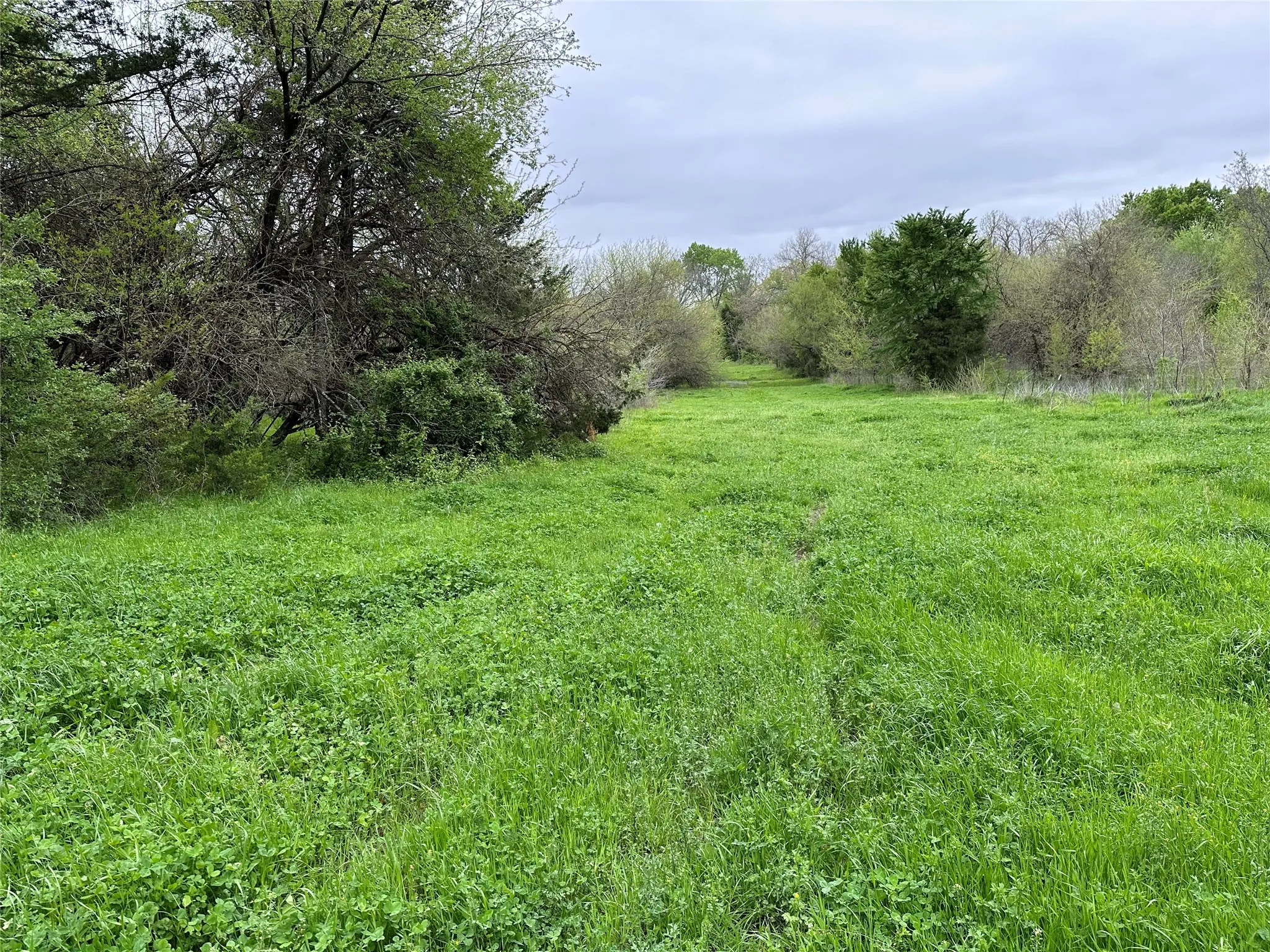 View of local wilderness