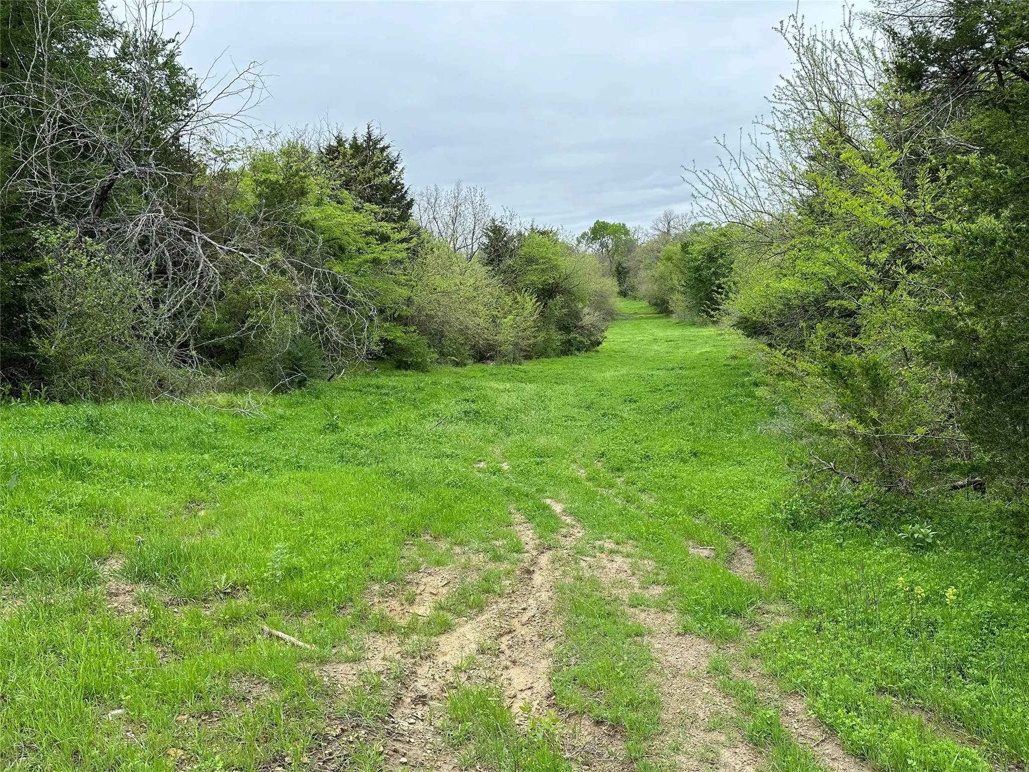 View of landscape