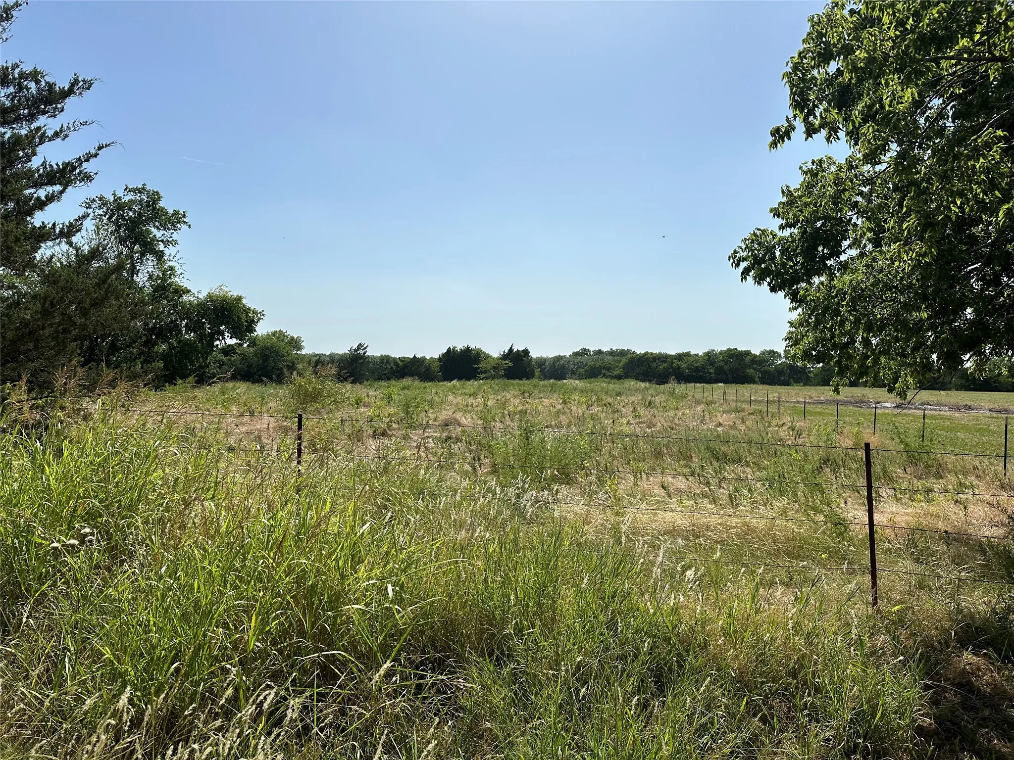 View of local wilderness with a rural view