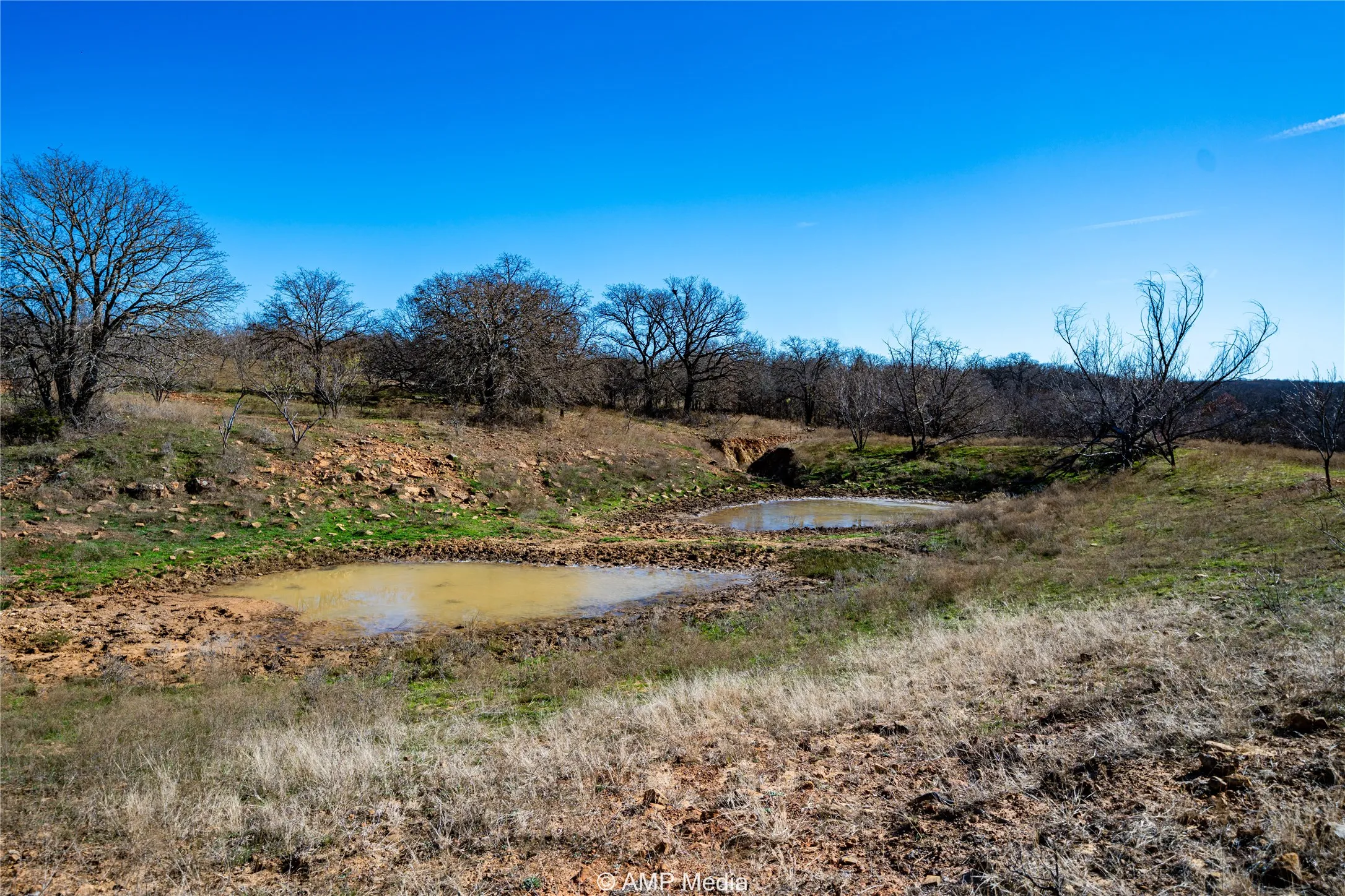 View of yard with a water view
