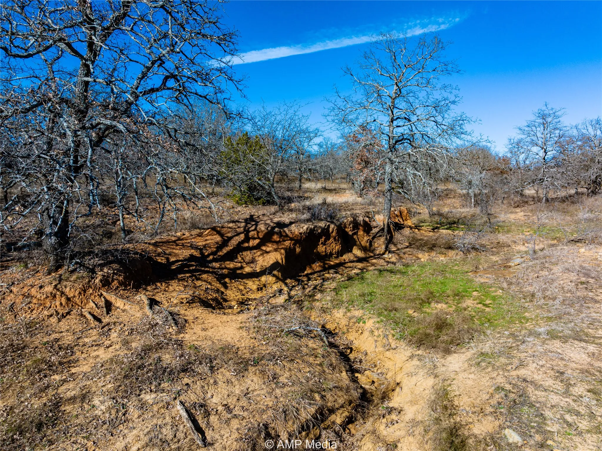 View of local wilderness