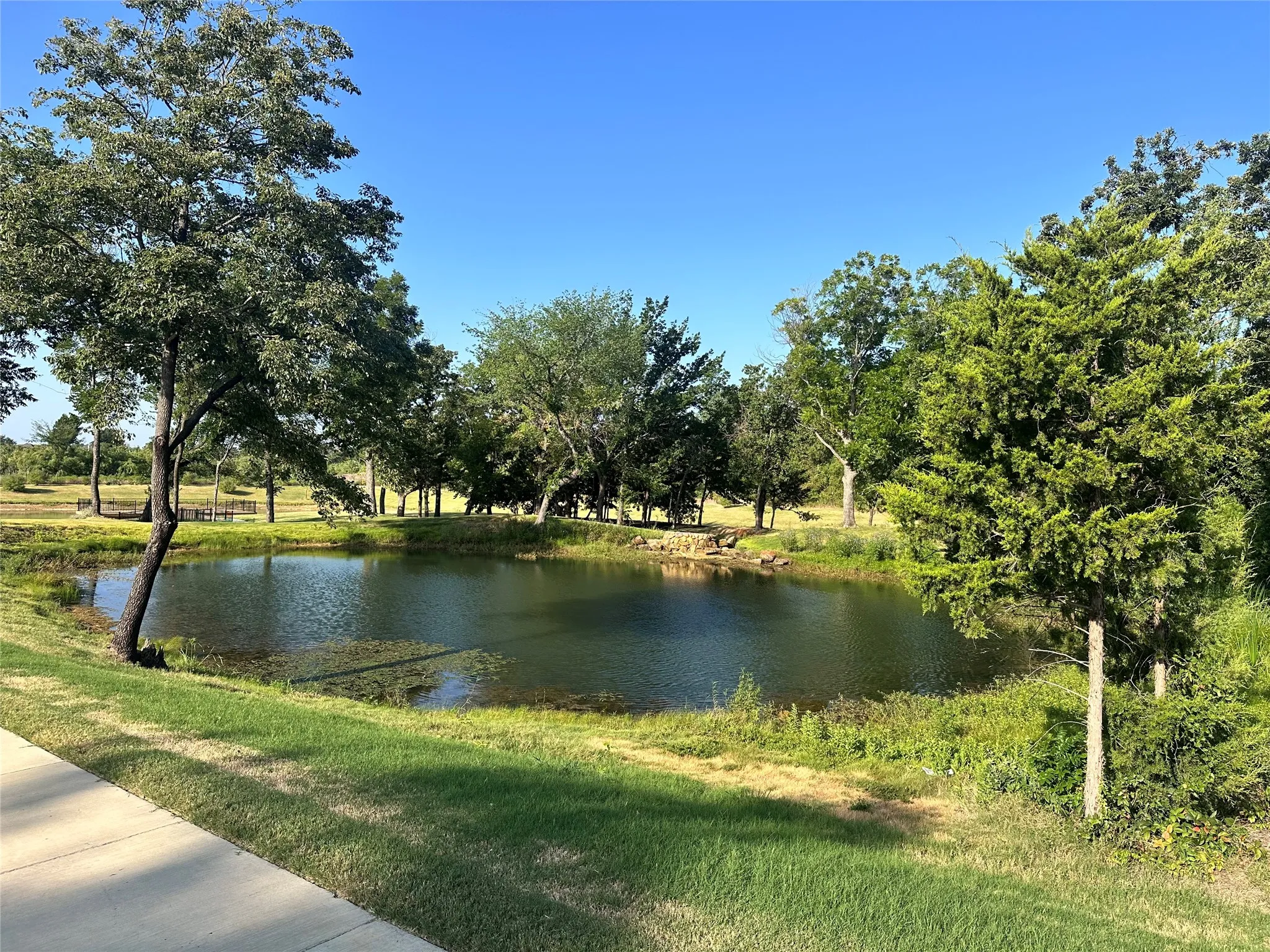 Tranquil pond surrounded by mature trees and natural landscaping