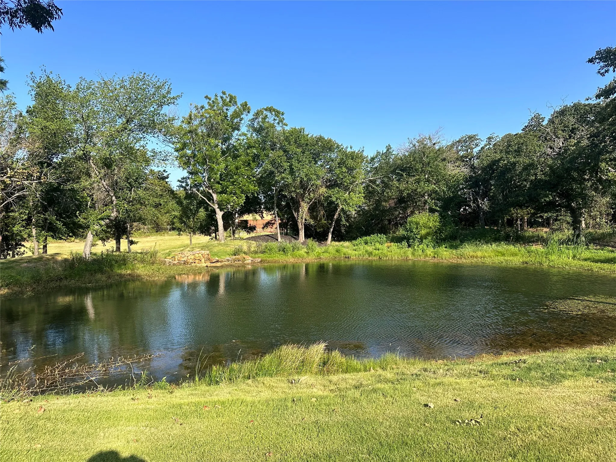 Pond with surrounding mature trees and grassy areas