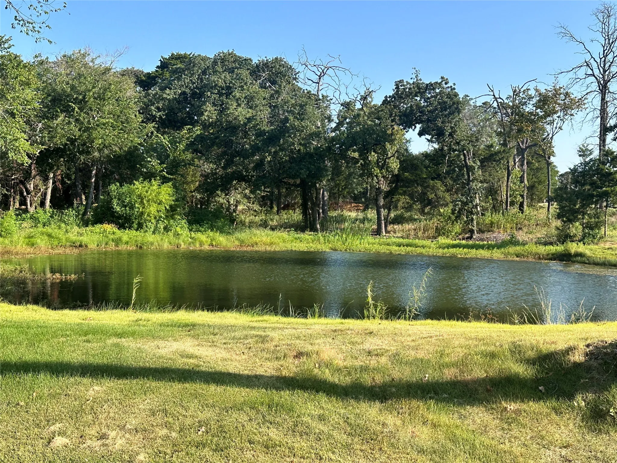 Private pond with surrounding natural landscape and mature trees