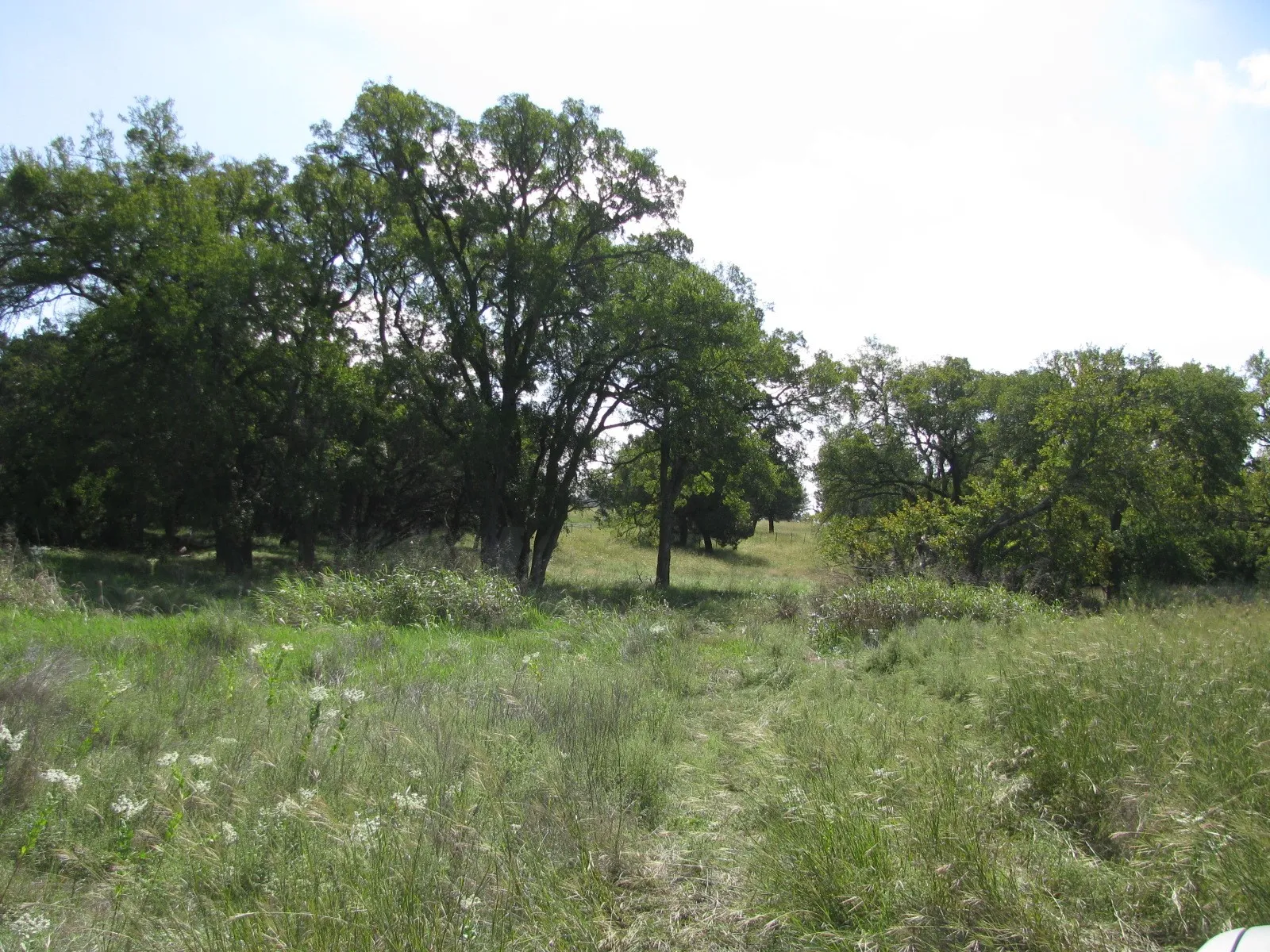 Single Family Residence For Sale in Coryell County , 4463 County Road 158, Evant, Texas 76525, 2 Bedroom, 1 Bathroom, Garage spaces, 1,147 Sqft, built in 1980, Preowned, mls#20834204, Real Estate Agent in Evant, Homes For Sale in Coryell county, Homes For Sale in Evant, Realtor in Evant Texas, Real Estate Brokerage Independent Realty Texas, Luminita Cordes Realtor