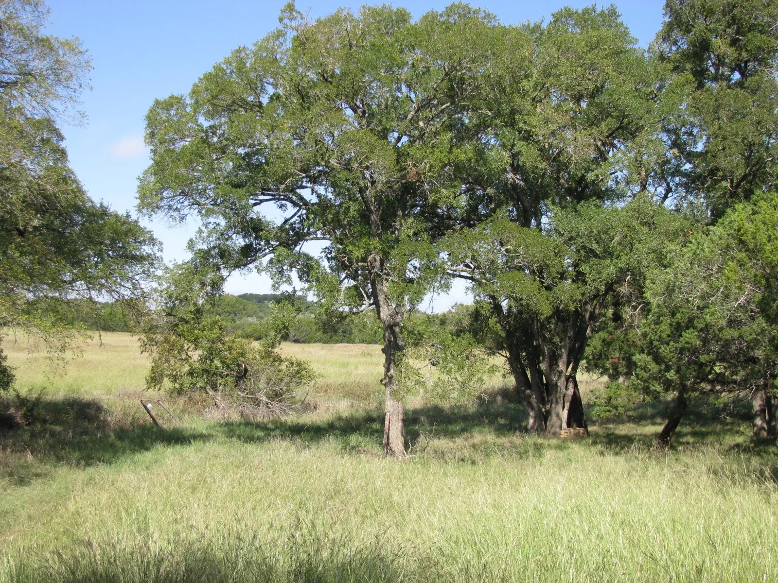 Single Family Residence For Sale in Coryell County , 4463 County Road 158, Evant, Texas 76525, 2 Bedroom, 1 Bathroom, Garage spaces, 1,147 Sqft, built in 1980, Preowned, mls#20834204, Real Estate Agent in Evant, Homes For Sale in Coryell county, Homes For Sale in Evant, Realtor in Evant Texas, Real Estate Brokerage Independent Realty Texas, Luminita Cordes Realtor