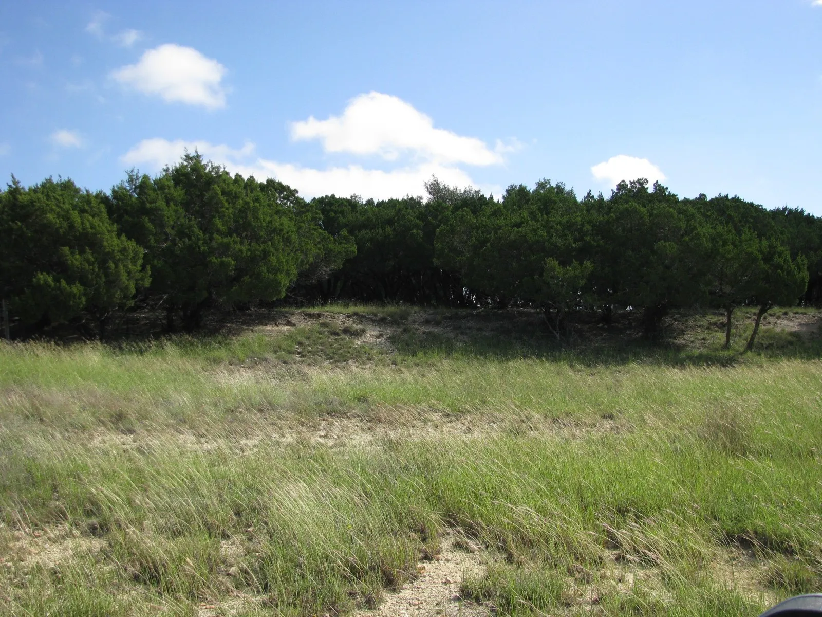 Single Family Residence For Sale in Coryell County , 4463 County Road 158, Evant, Texas 76525, 2 Bedroom, 1 Bathroom, Garage spaces, 1,147 Sqft, built in 1980, Preowned, mls#20834204, Real Estate Agent in Evant, Homes For Sale in Coryell county, Homes For Sale in Evant, Realtor in Evant Texas, Real Estate Brokerage Independent Realty Texas, Luminita Cordes Realtor