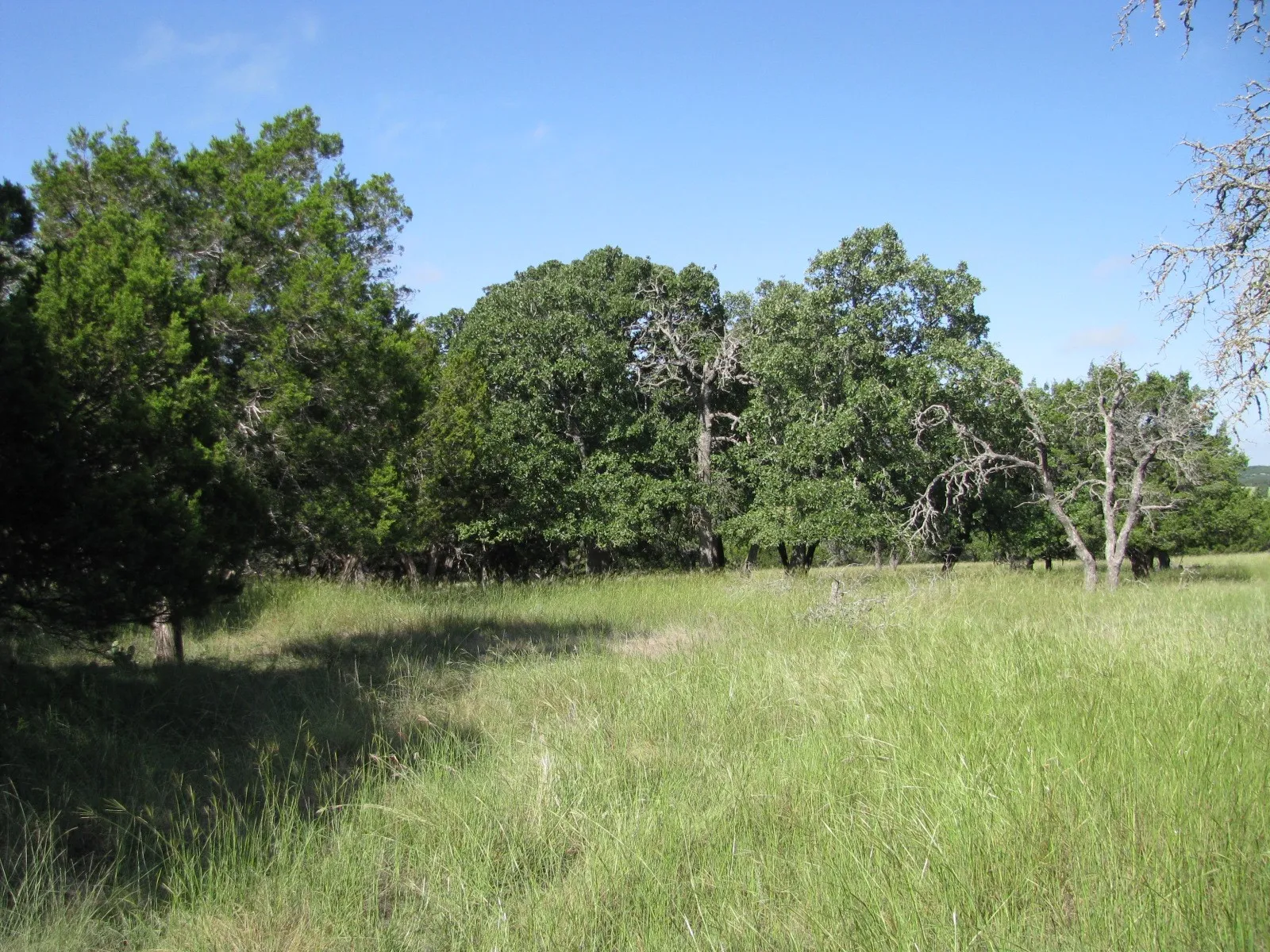 Single Family Residence For Sale in Coryell County , 4463 County Road 158, Evant, Texas 76525, 2 Bedroom, 1 Bathroom, Garage spaces, 1,147 Sqft, built in 1980, Preowned, mls#20834204, Real Estate Agent in Evant, Homes For Sale in Coryell county, Homes For Sale in Evant, Realtor in Evant Texas, Real Estate Brokerage Independent Realty Texas, Luminita Cordes Realtor