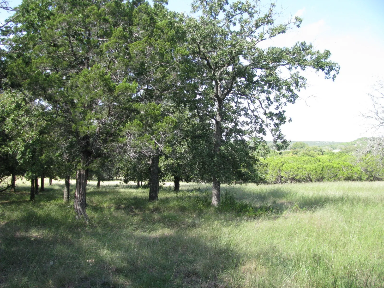 Single Family Residence For Sale in Coryell County , 4463 County Road 158, Evant, Texas 76525, 2 Bedroom, 1 Bathroom, Garage spaces, 1,147 Sqft, built in 1980, Preowned, mls#20834204, Real Estate Agent in Evant, Homes For Sale in Coryell county, Homes For Sale in Evant, Realtor in Evant Texas, Real Estate Brokerage Independent Realty Texas, Luminita Cordes Realtor