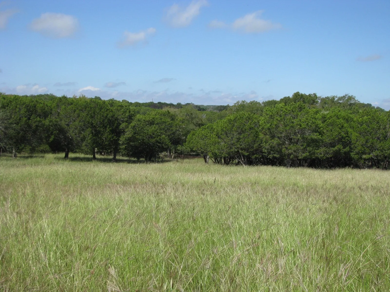 Single Family Residence For Sale in Coryell County , 4463 County Road 158, Evant, Texas 76525, 2 Bedroom, 1 Bathroom, Garage spaces, 1,147 Sqft, built in 1980, Preowned, mls#20834204, Real Estate Agent in Evant, Homes For Sale in Coryell county, Homes For Sale in Evant, Realtor in Evant Texas, Real Estate Brokerage Independent Realty Texas, Luminita Cordes Realtor
