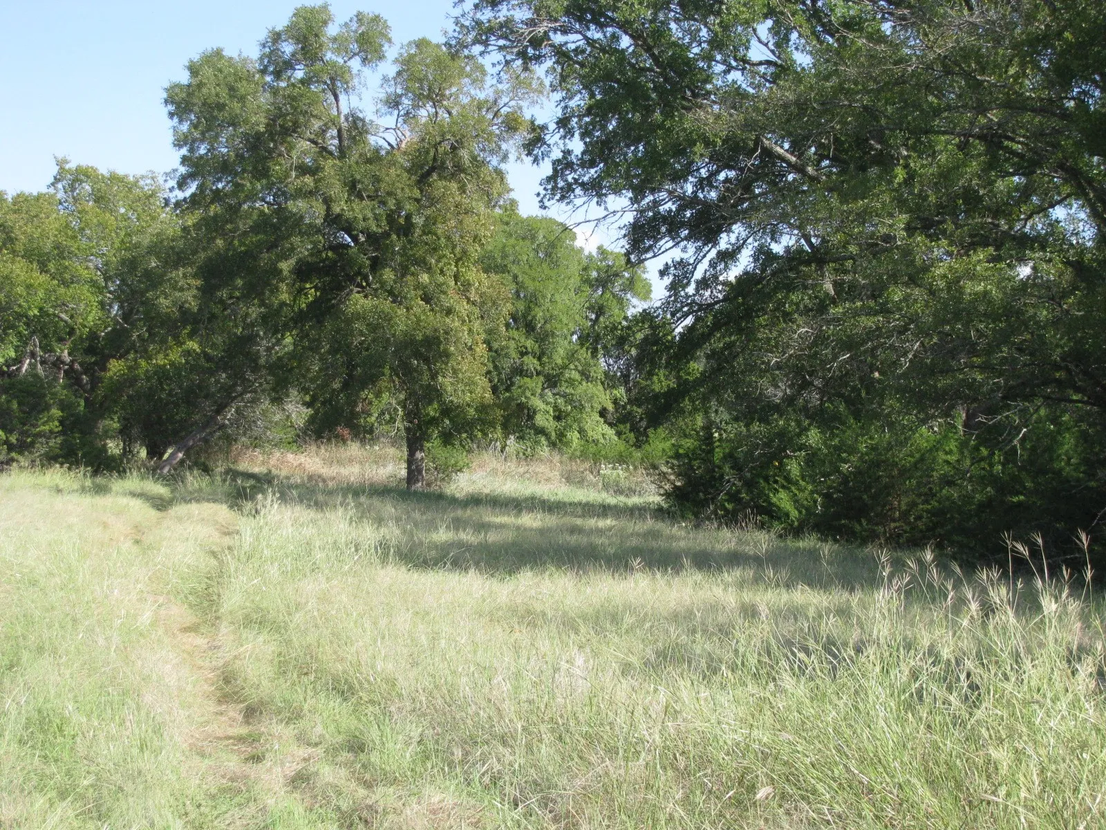 Single Family Residence For Sale in Coryell County , 4463 County Road 158, Evant, Texas 76525, 2 Bedroom, 1 Bathroom, Garage spaces, 1,147 Sqft, built in 1980, Preowned, mls#20834204, Real Estate Agent in Evant, Homes For Sale in Coryell county, Homes For Sale in Evant, Realtor in Evant Texas, Real Estate Brokerage Independent Realty Texas, Luminita Cordes Realtor