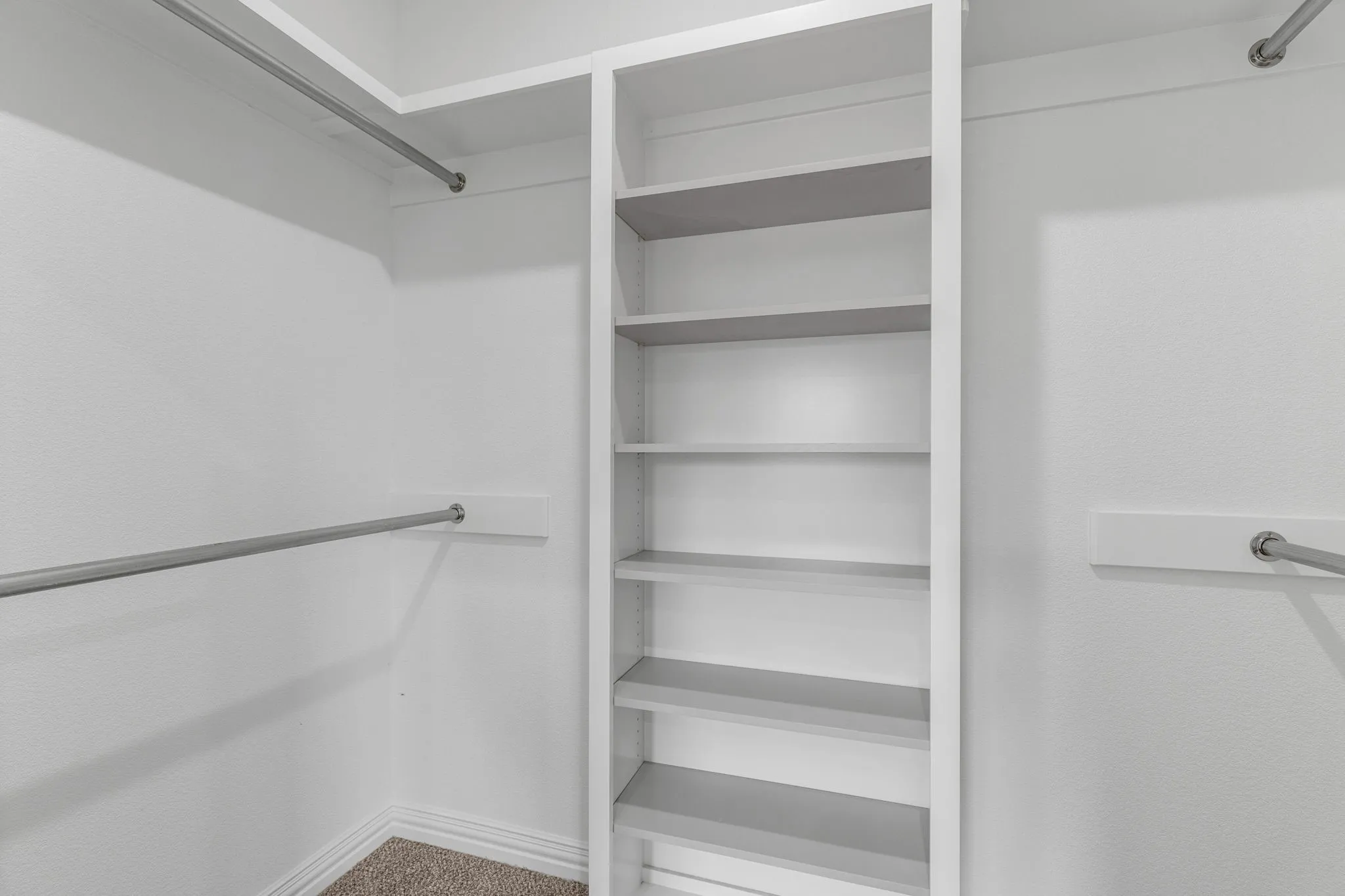 Spacious closet featuring carpet floors