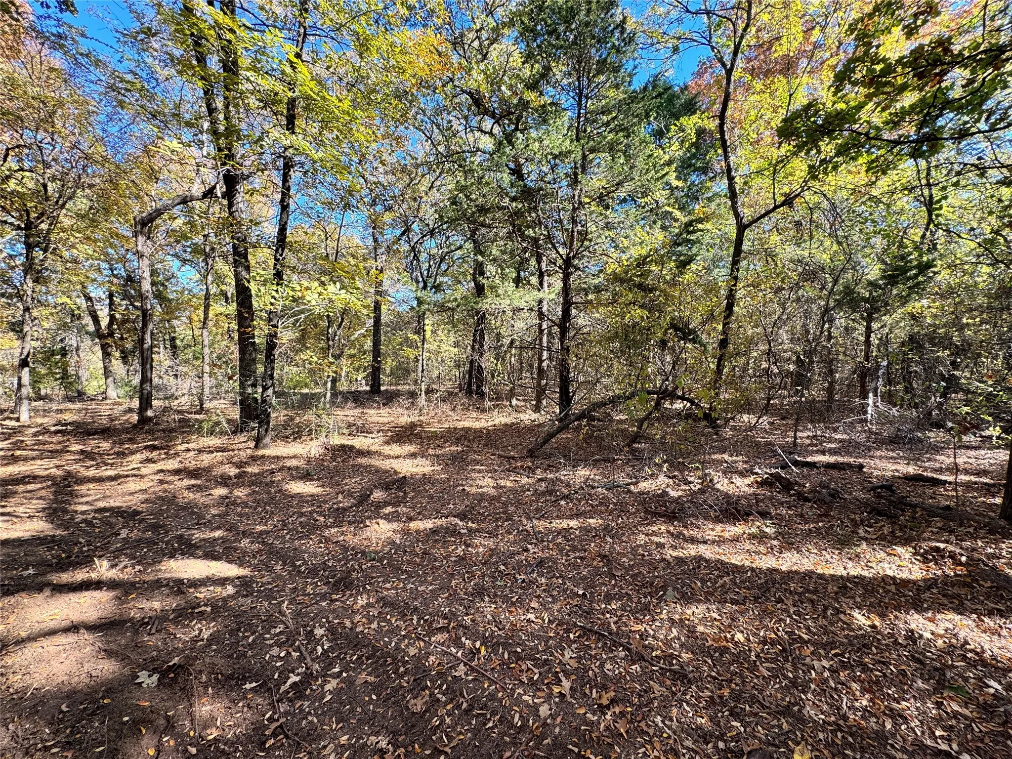 Unimproved Land For Sale in Cooke County , TBD Lot 8 Clark Road, Gainesville, Texas 76240, 0, 0, Garage spaces, 0 Sqft, built in 0, Price $280,000, mls#20836083, Real Estate Agent in Gainesville, Homes For Sale in Cooke county, Homes For Sale in Gainesville, Realtor in Gainesville Texas, Real Estate Brokerage Independent Realty Texas, Luminita Cordes Realtor