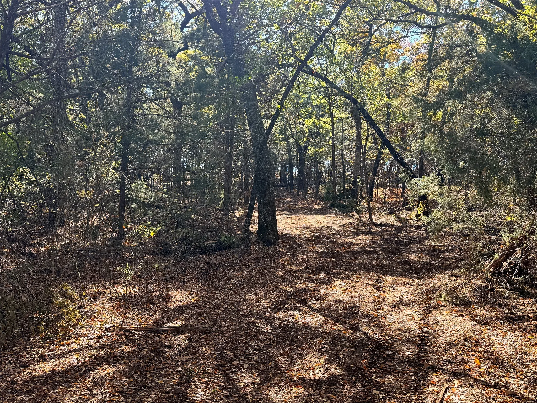 Unimproved Land For Sale in Cooke County , TBD Lot 8 Clark Road, Gainesville, Texas 76240, 0, 0, Garage spaces, 0 Sqft, built in 0, Price $280,000, mls#20836083, Real Estate Agent in Gainesville, Homes For Sale in Cooke county, Homes For Sale in Gainesville, Realtor in Gainesville Texas, Real Estate Brokerage Independent Realty Texas, Luminita Cordes Realtor